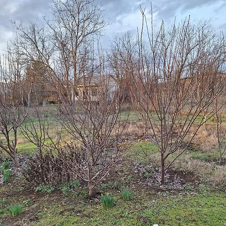 Urban Escape Вилла Скопье