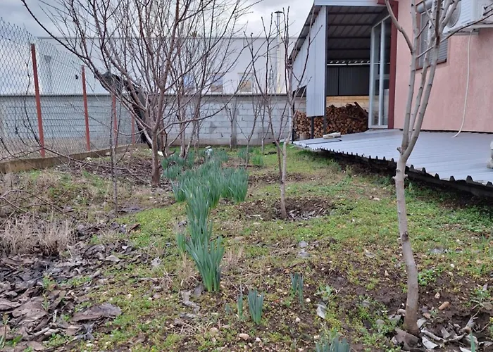 Вилла Urban Escape *