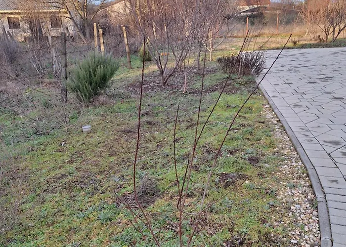 Вилла Urban Escape *